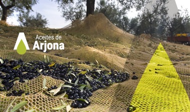 Diferencias entre aceite de oliva «virgen» y «virgen extra» duplicado